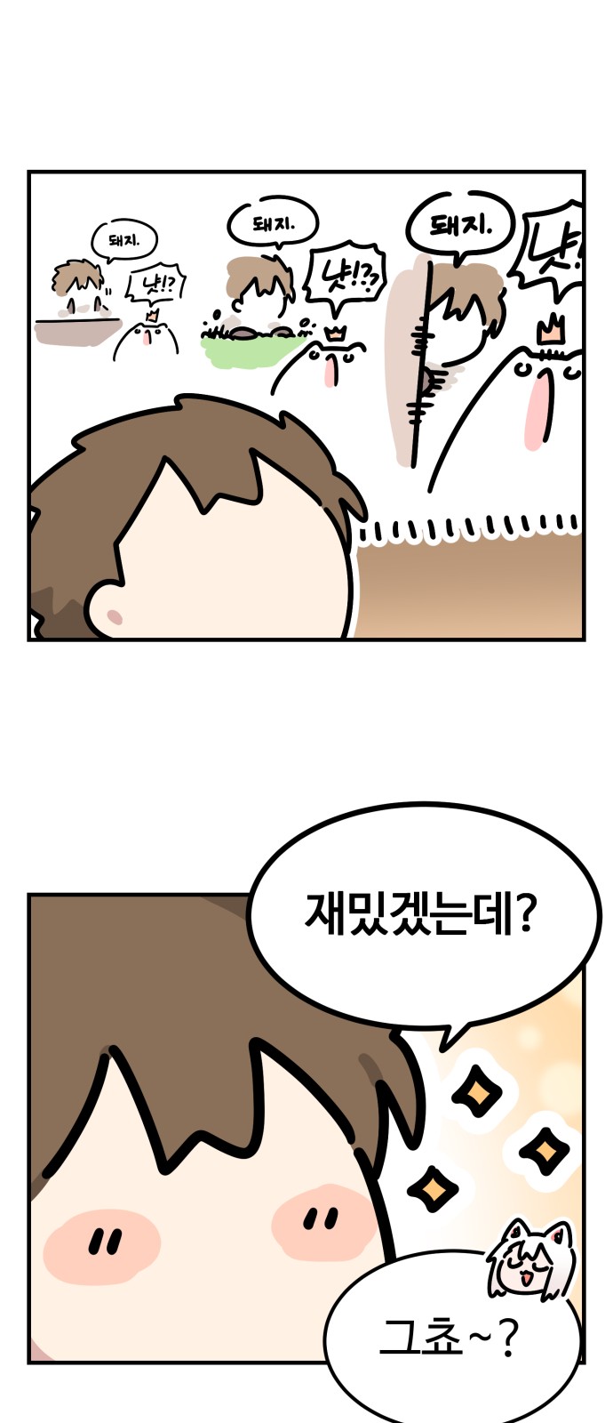 13 페이지