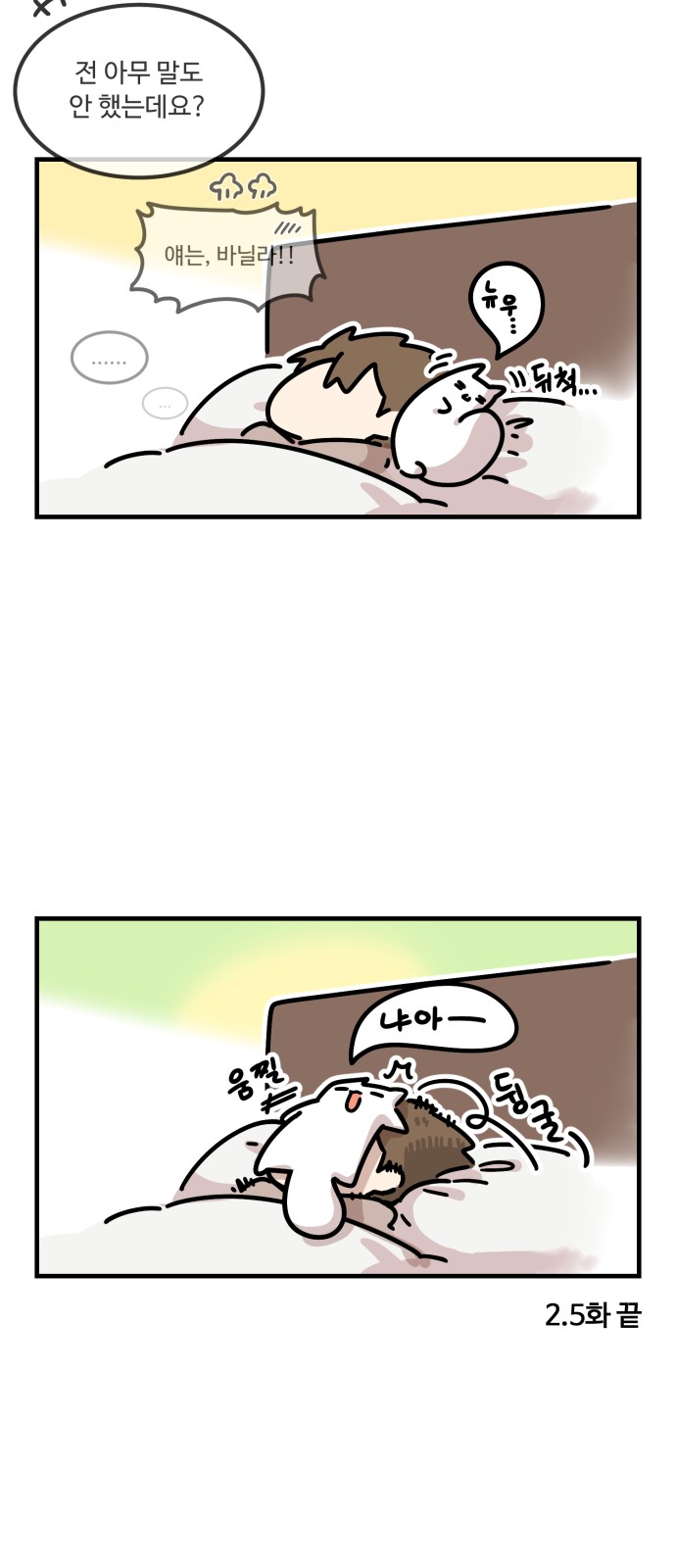39 페이지