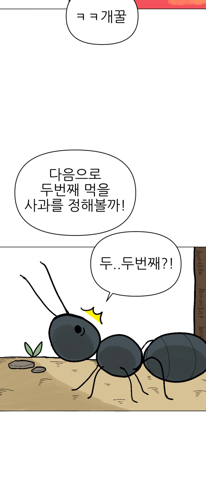 45 페이지