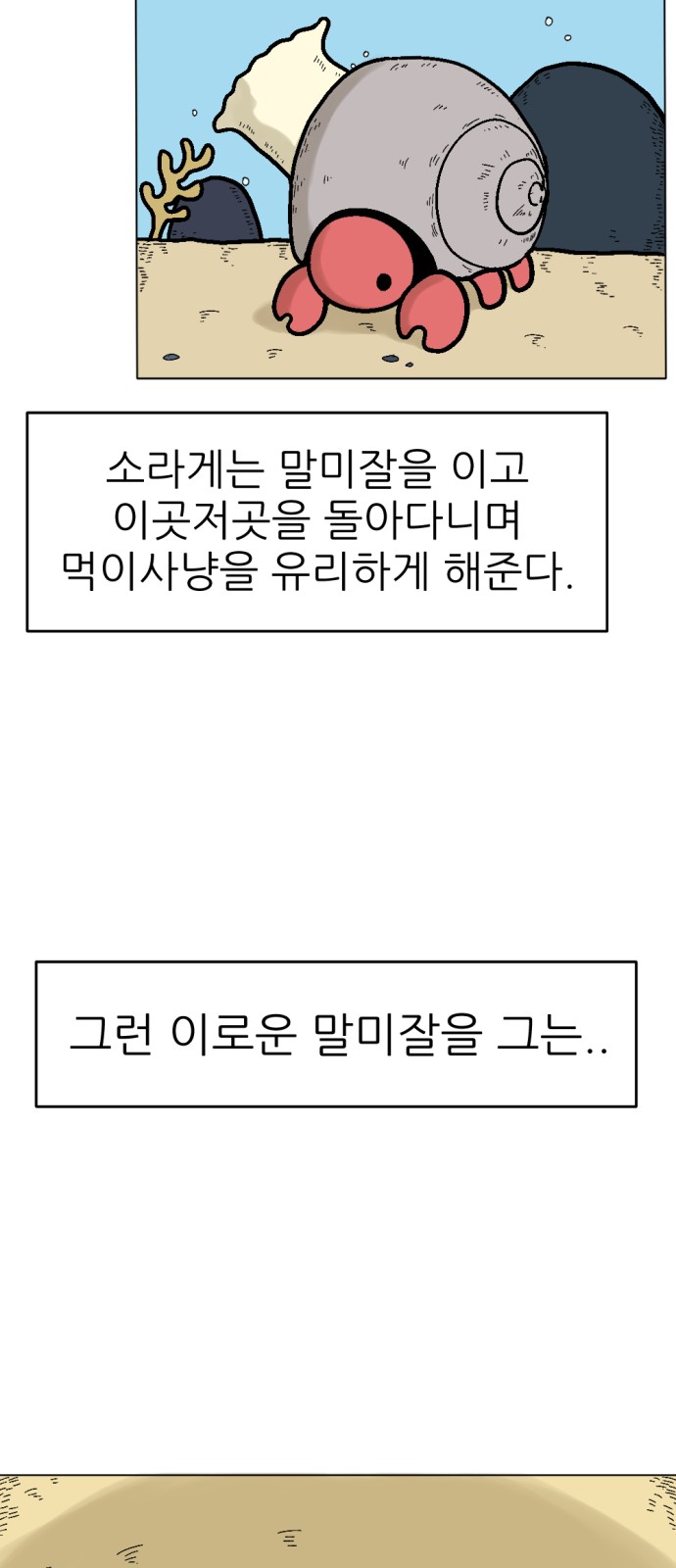 17 페이지
