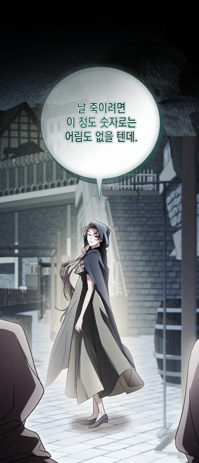 30 페이지