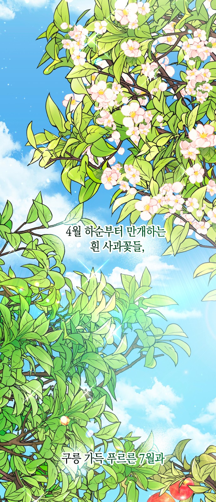 95 페이지