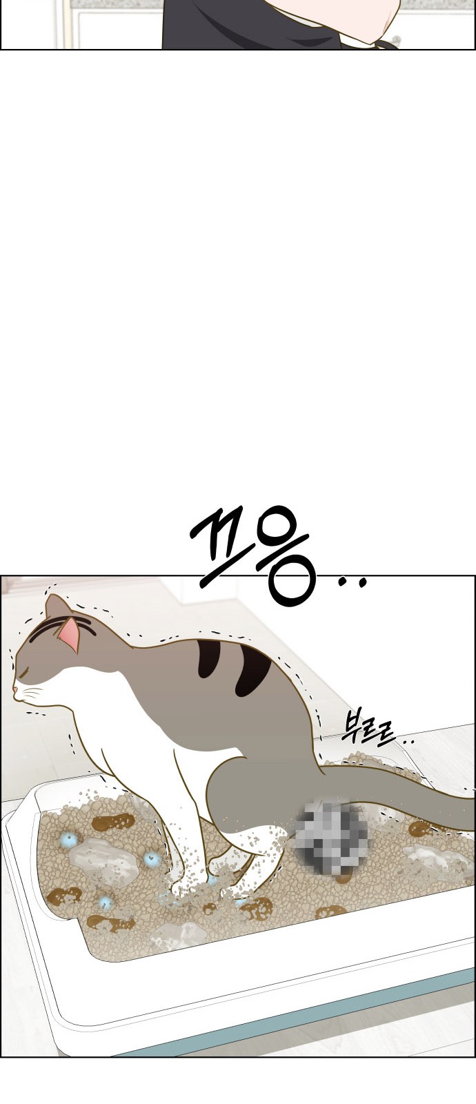 43 페이지