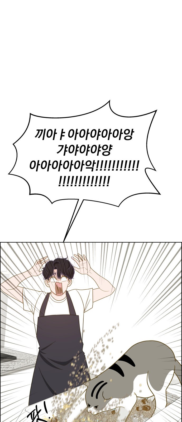 44 페이지