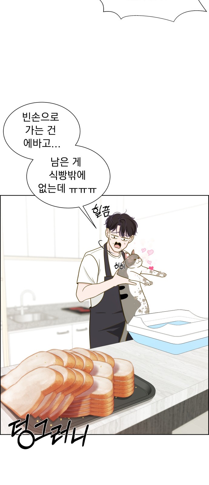 46 페이지