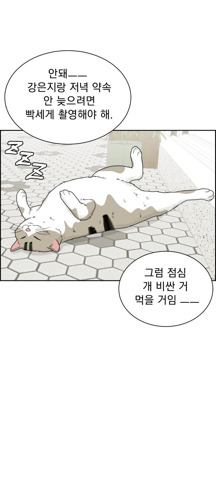 43 페이지