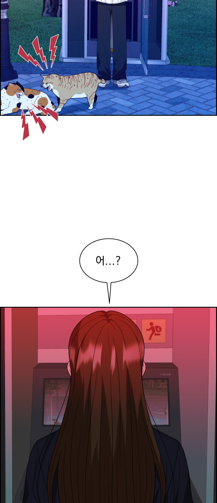 54 페이지