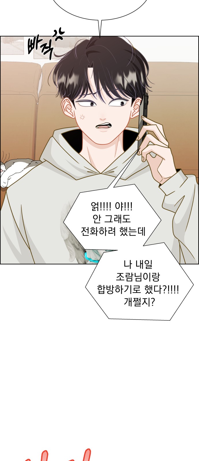 17 페이지