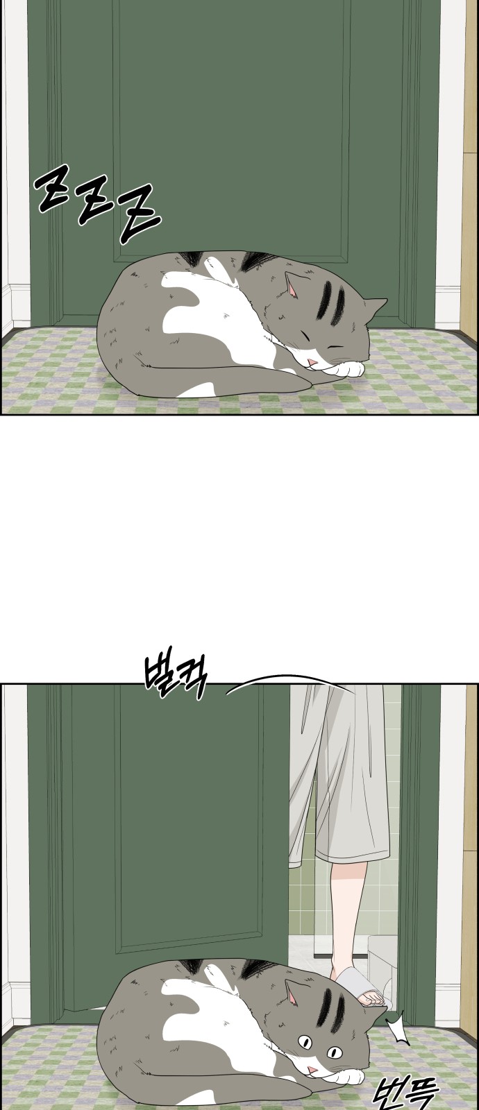 25 페이지