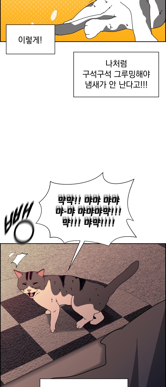 19 페이지