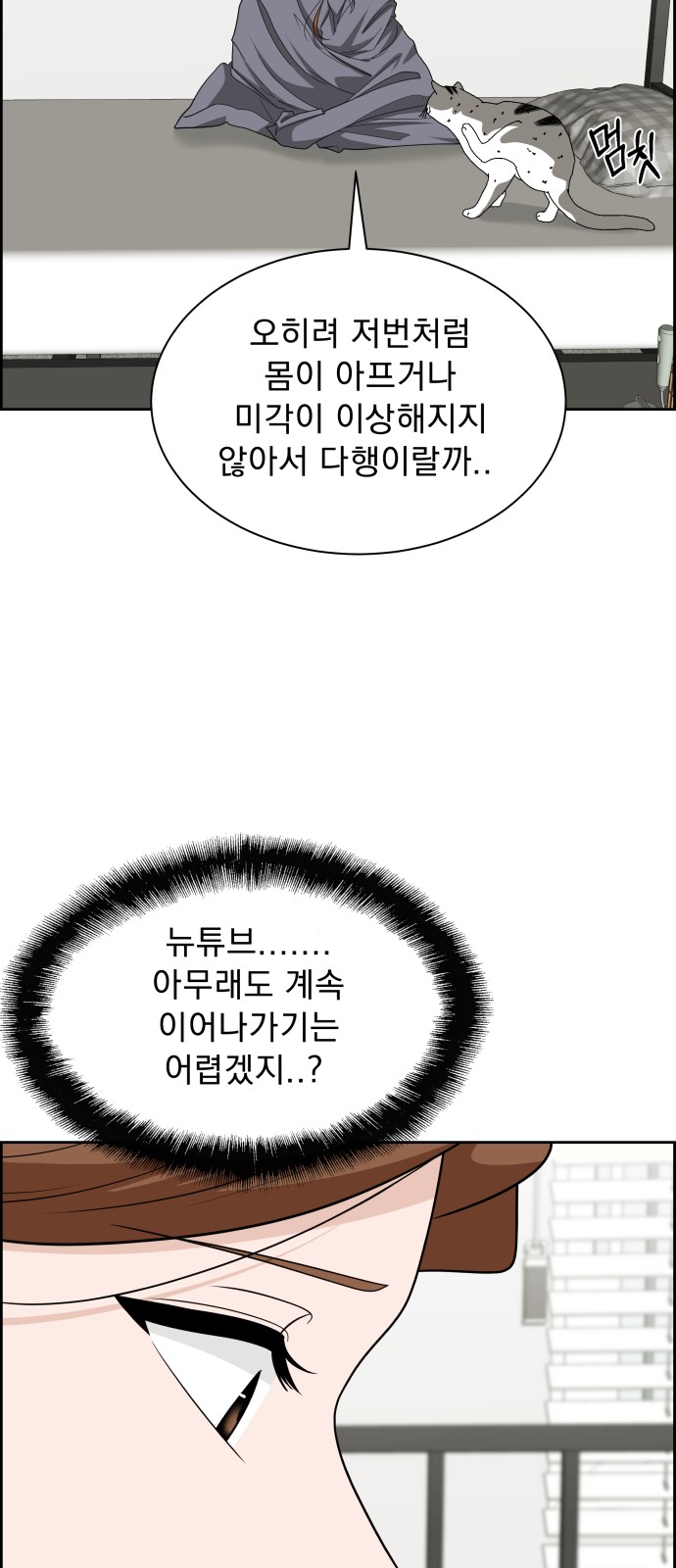 66 페이지