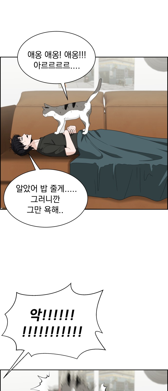 60 페이지