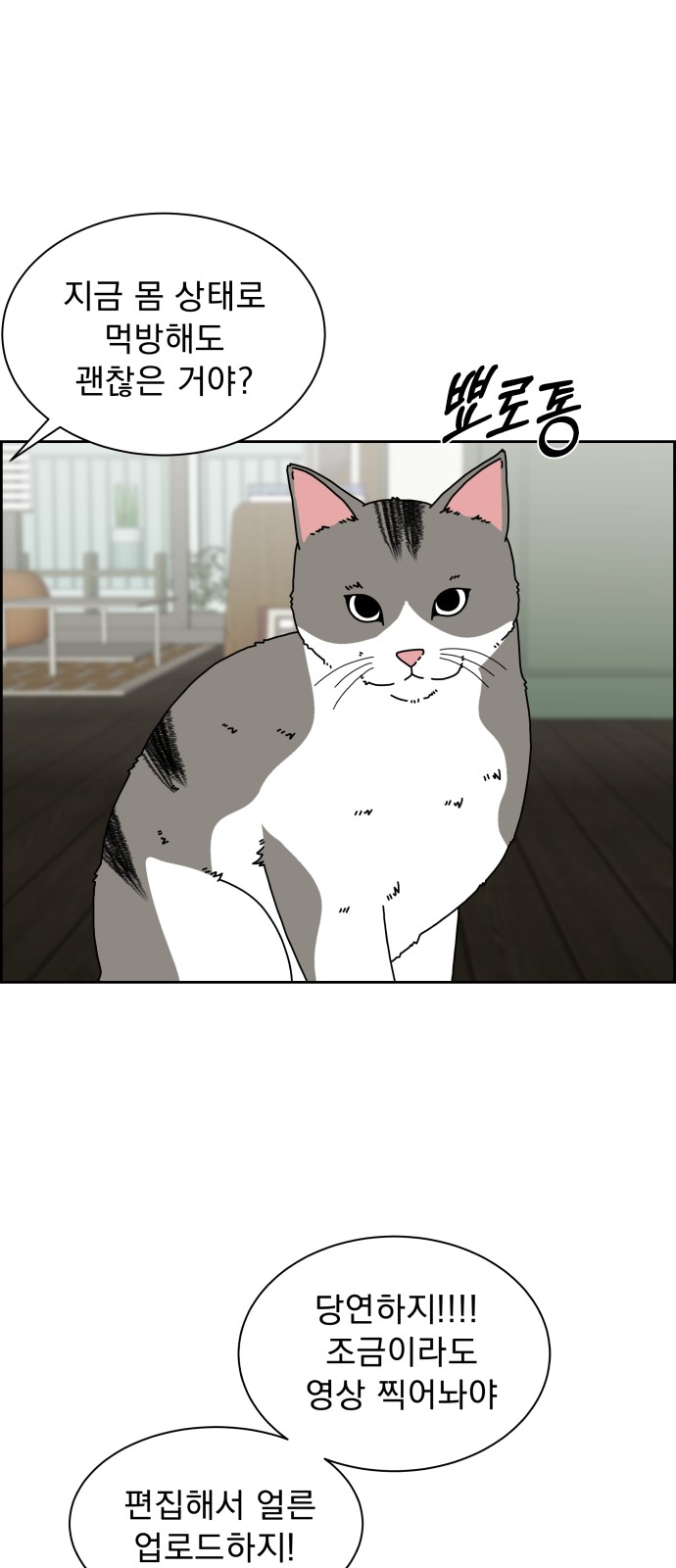 65 페이지