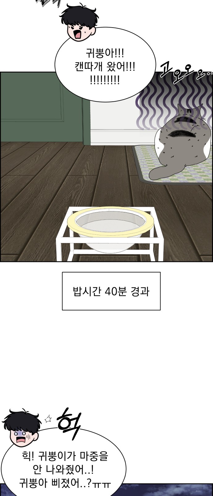 66 페이지