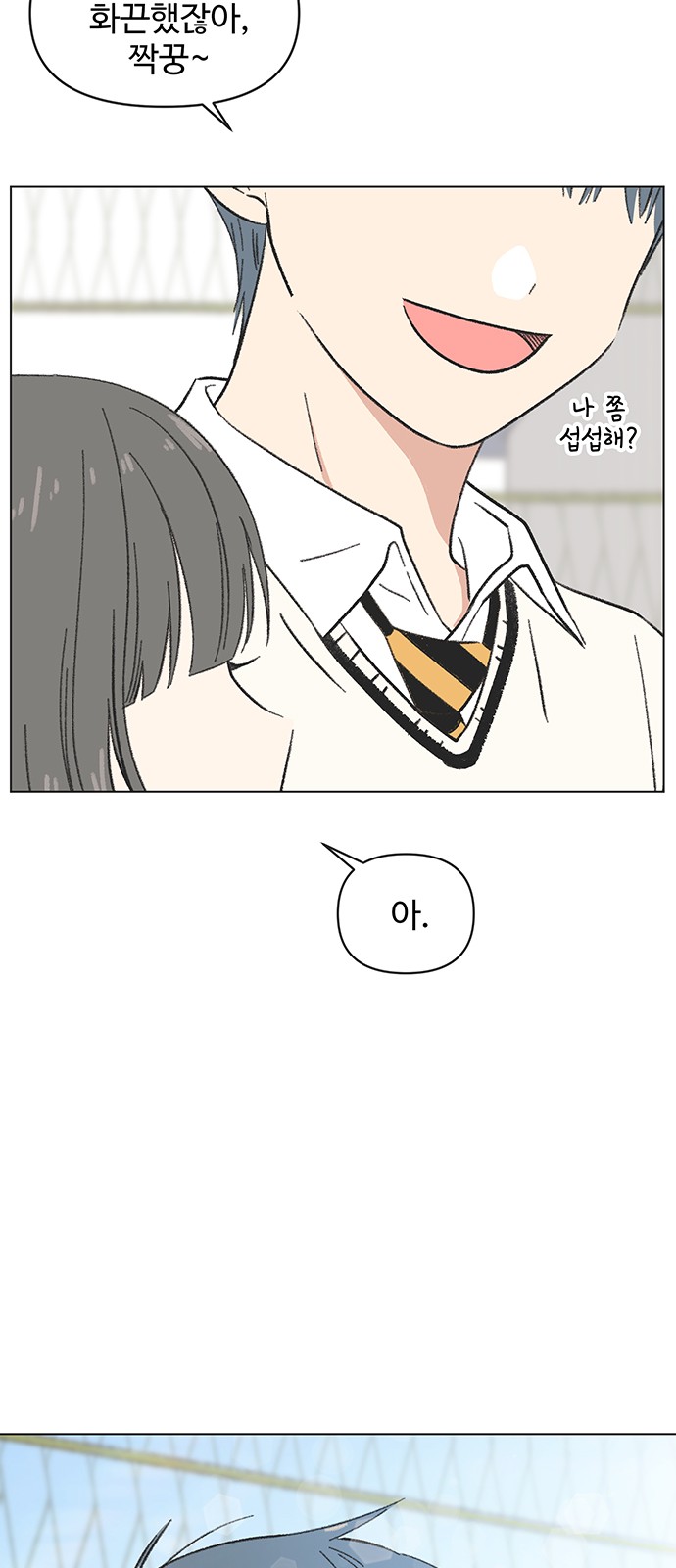 51 페이지