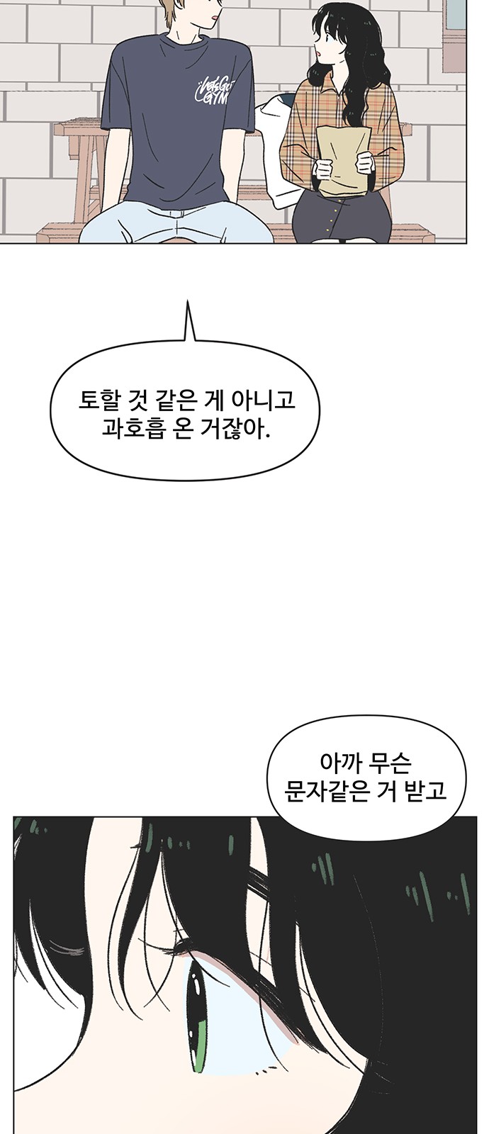 43 페이지