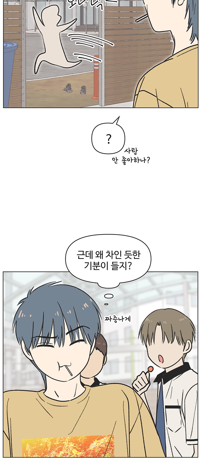14 페이지