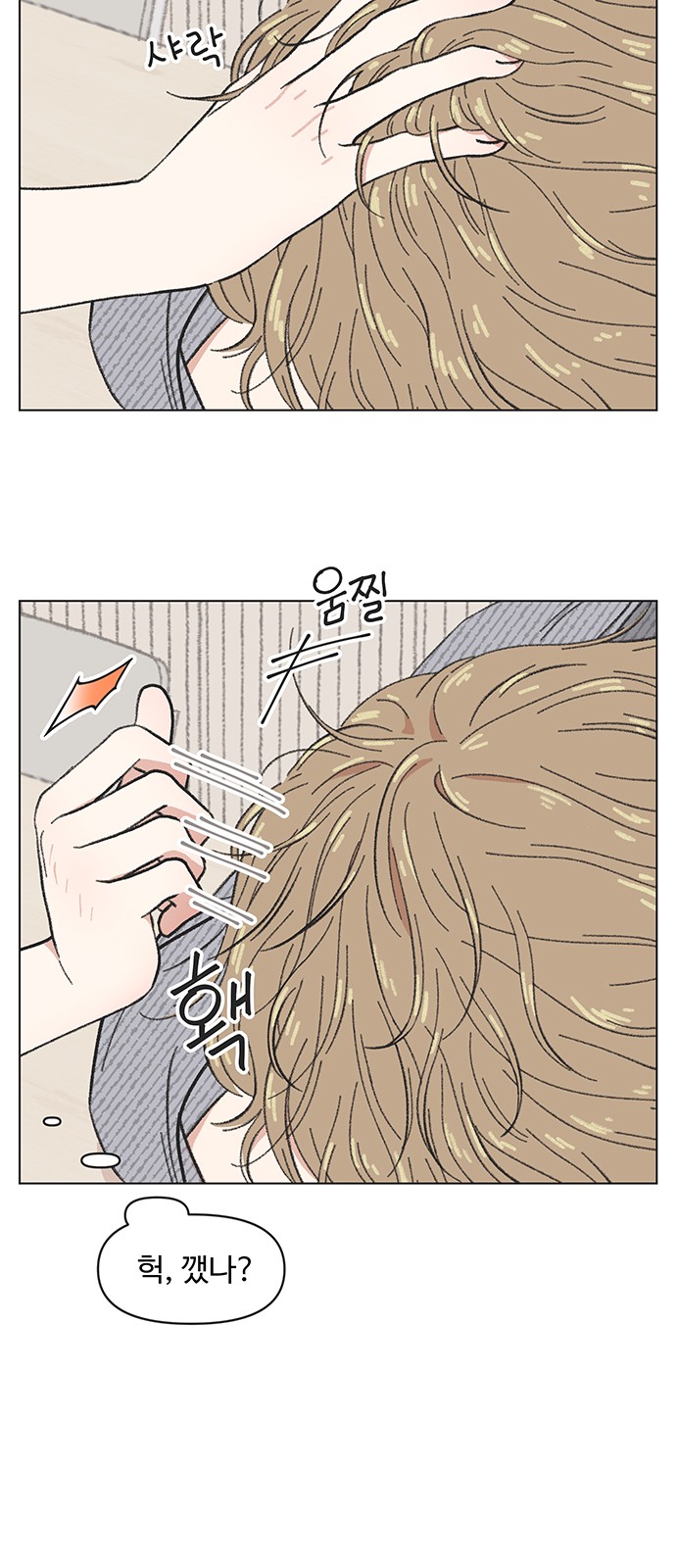 51 페이지