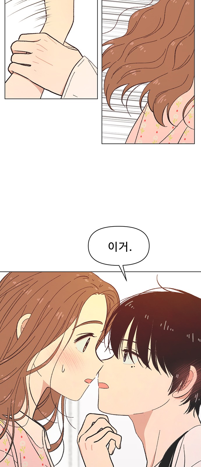 45 페이지