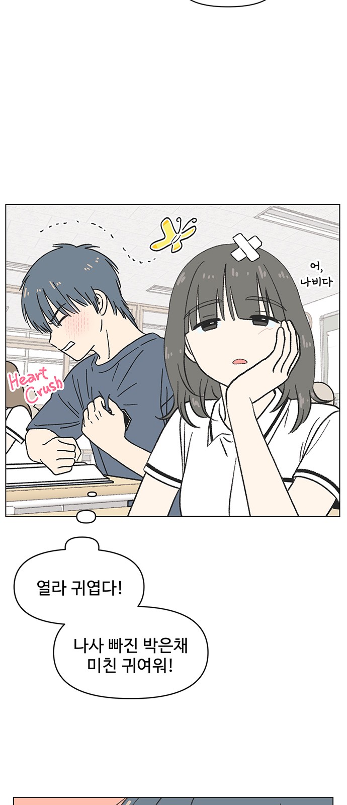 14 페이지