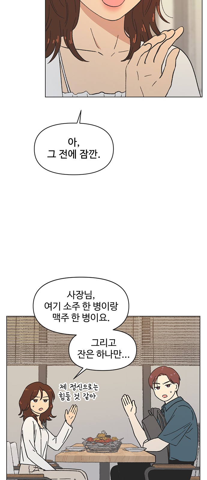 43 페이지