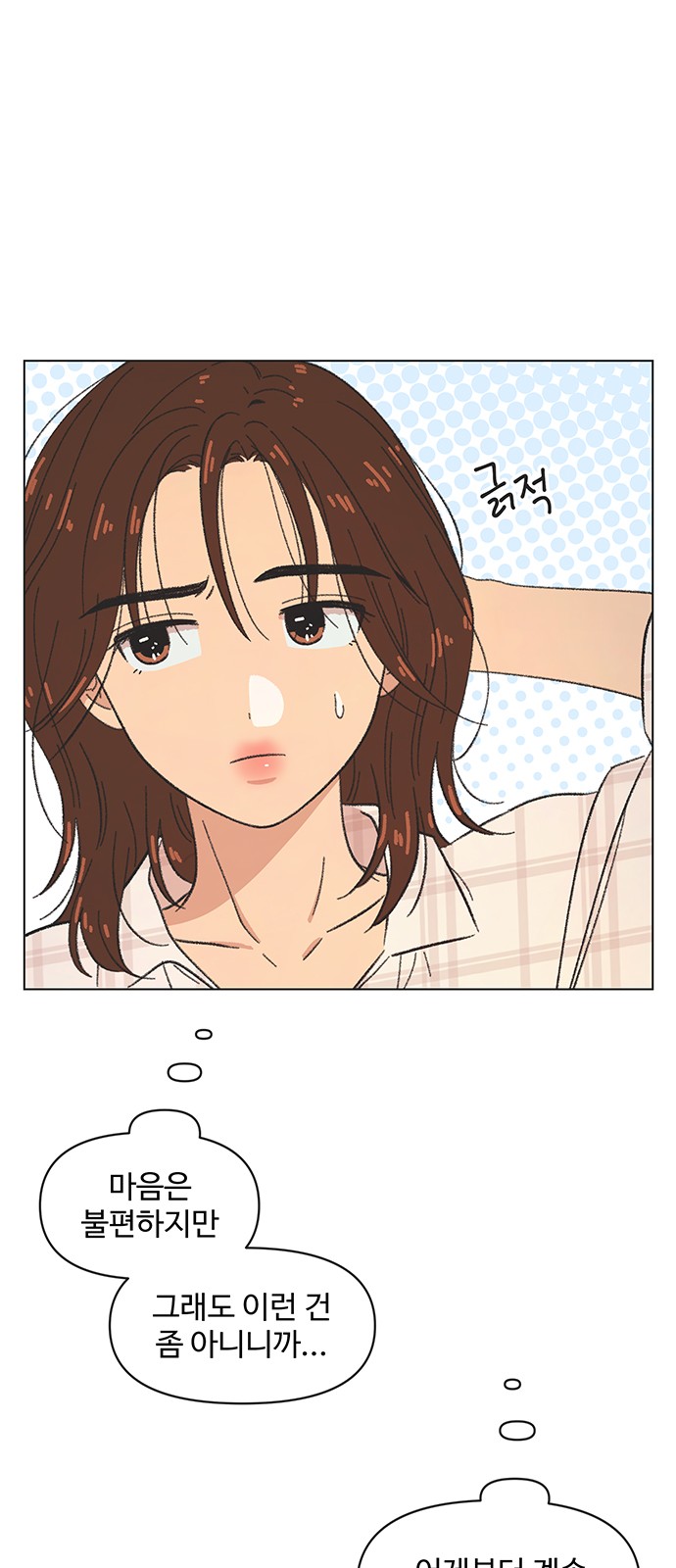 20 페이지