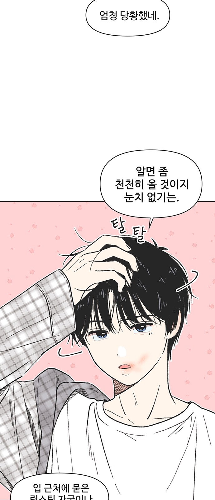 19 페이지