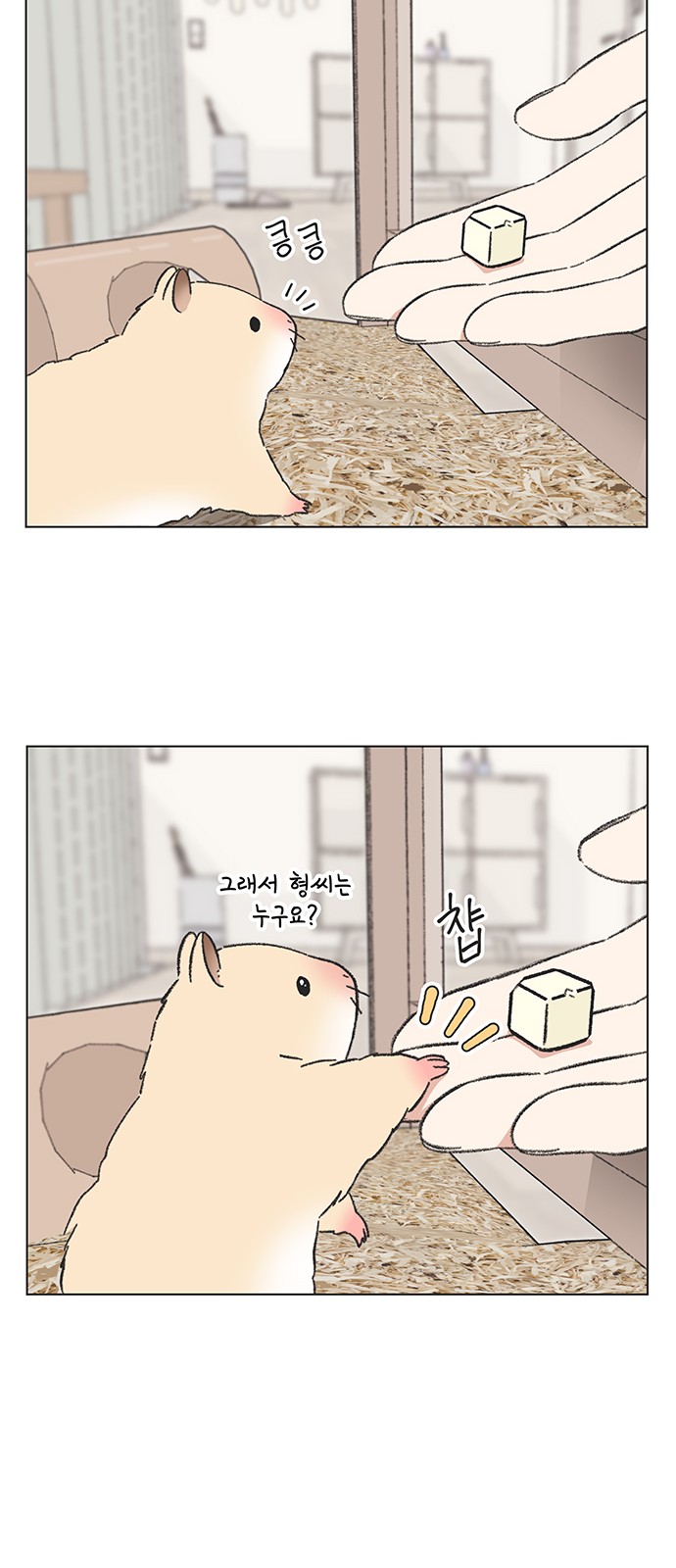 9 페이지