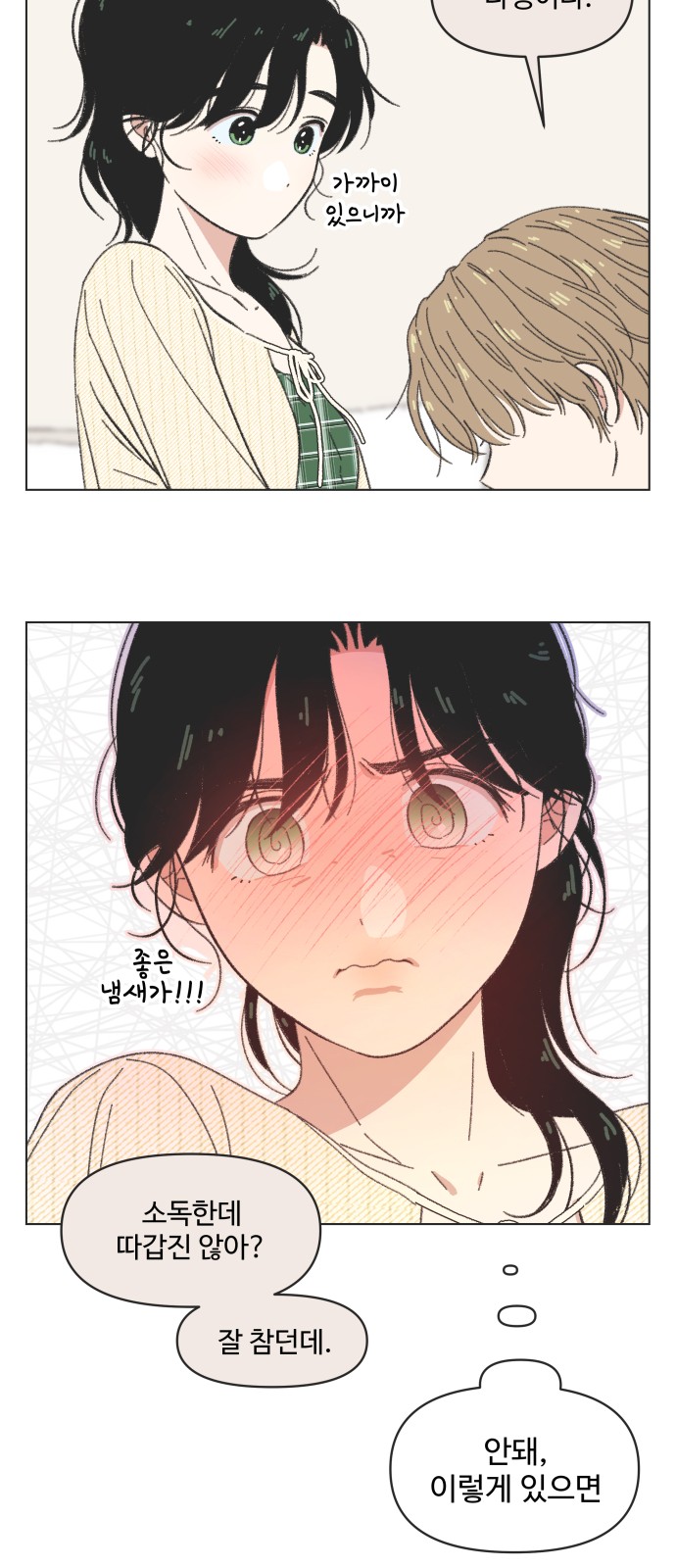 20 페이지