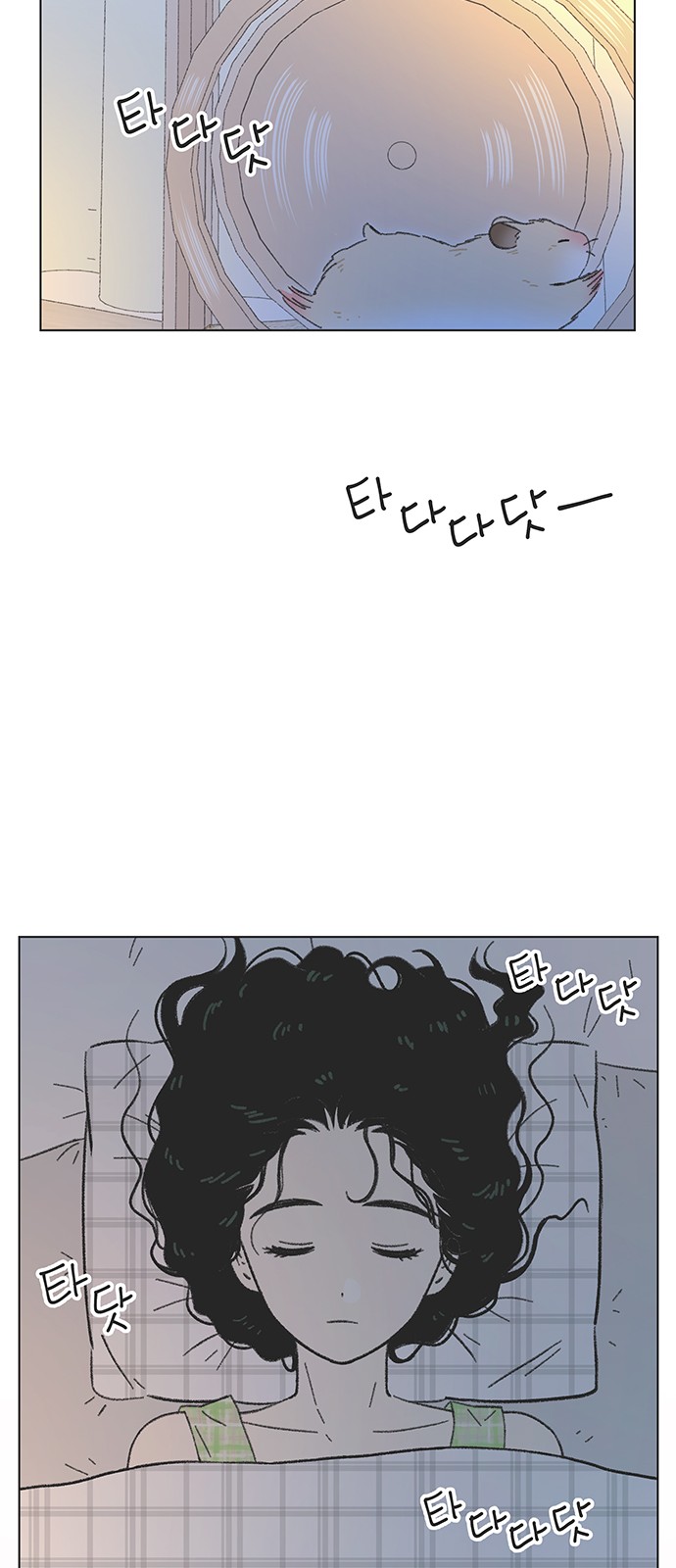 14 페이지