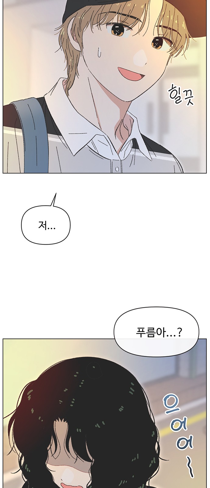 35 페이지