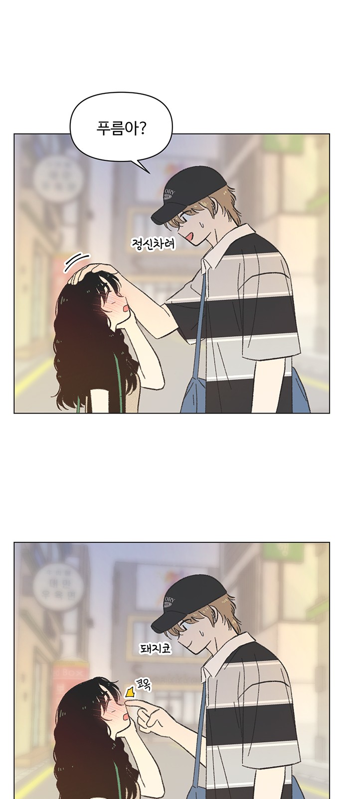 20 페이지