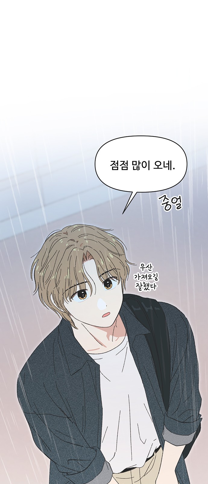 43 페이지