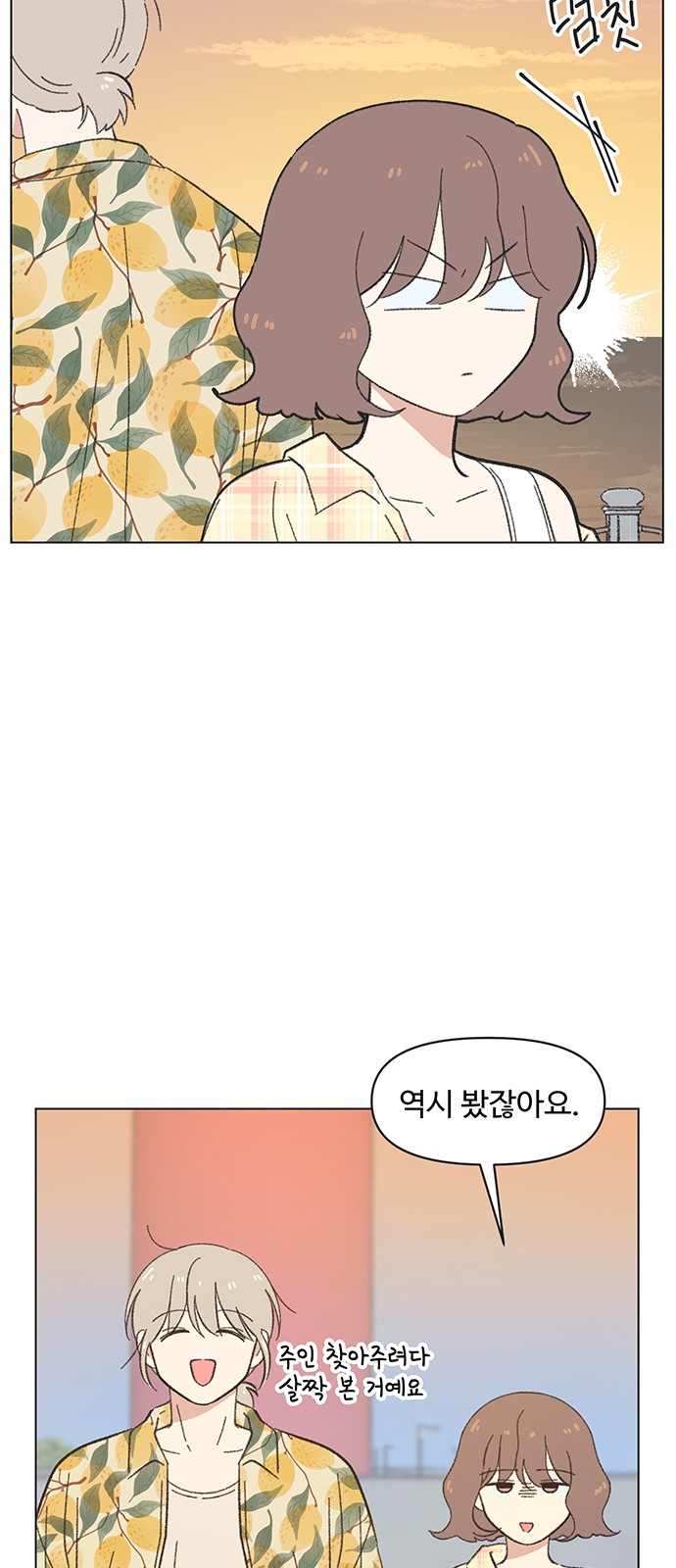 31 페이지