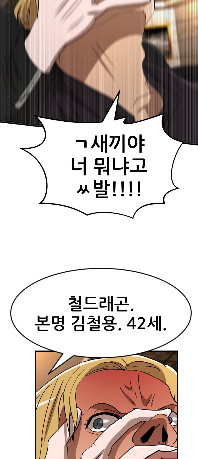 49 페이지