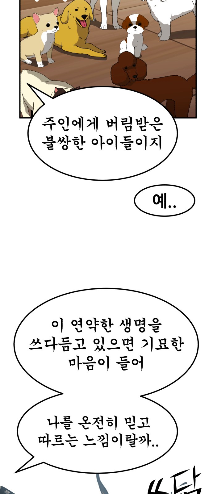 71 페이지