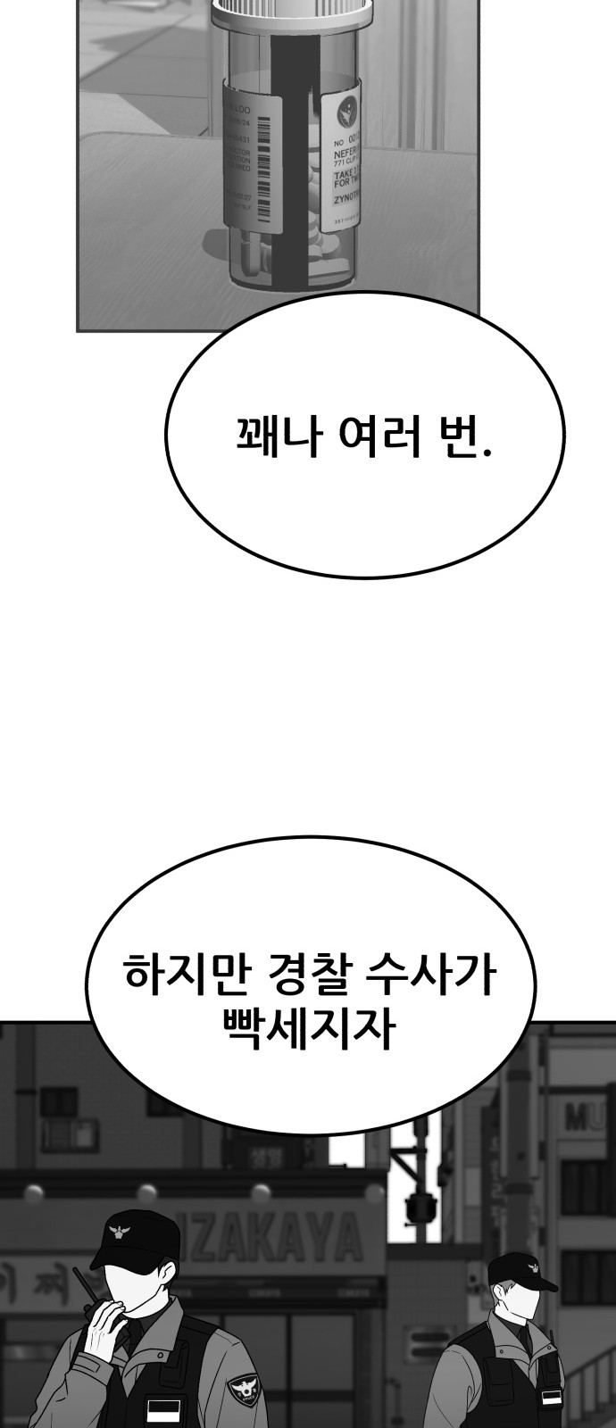 66 페이지