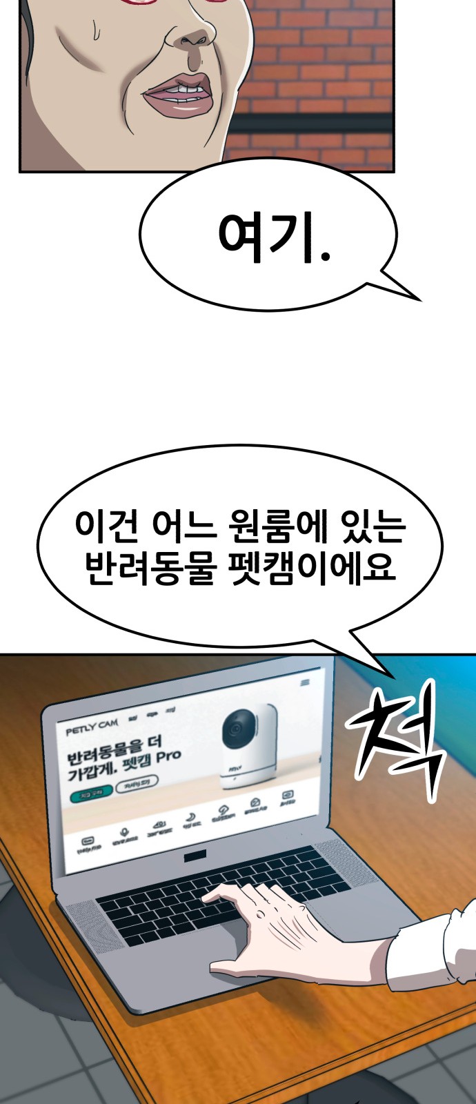 17 페이지