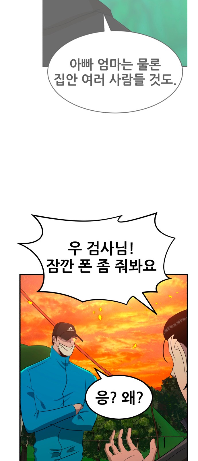 43 페이지