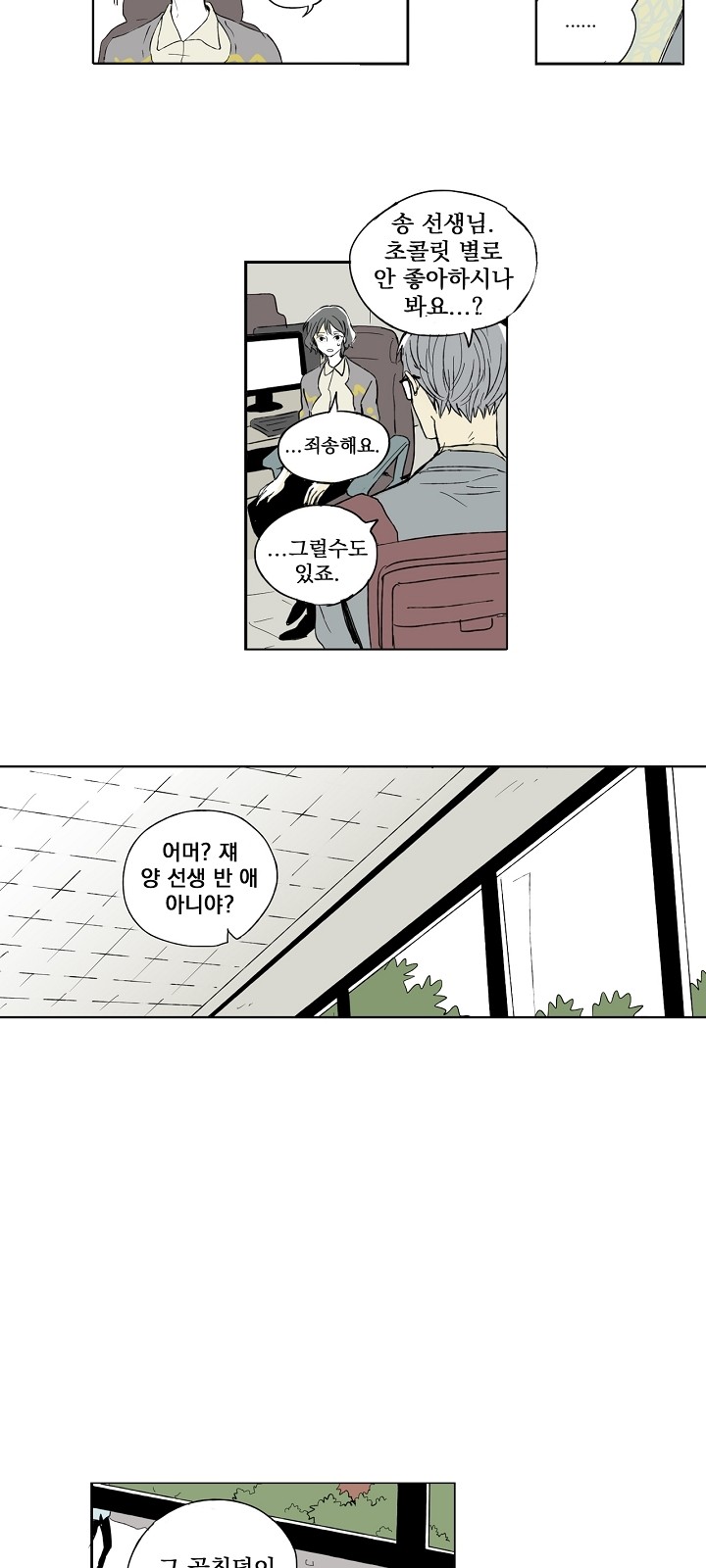 13 페이지