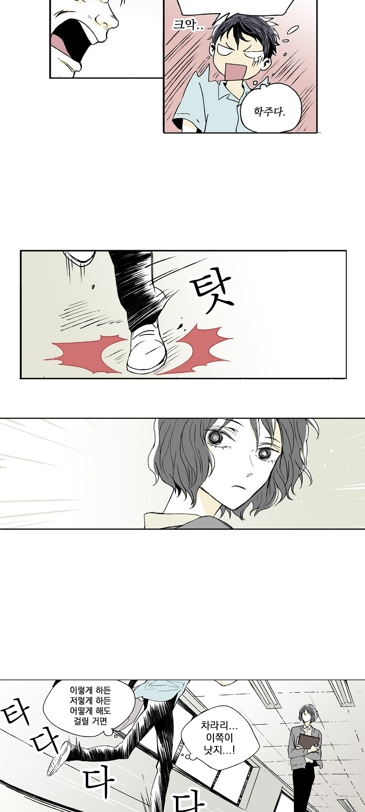 14 페이지