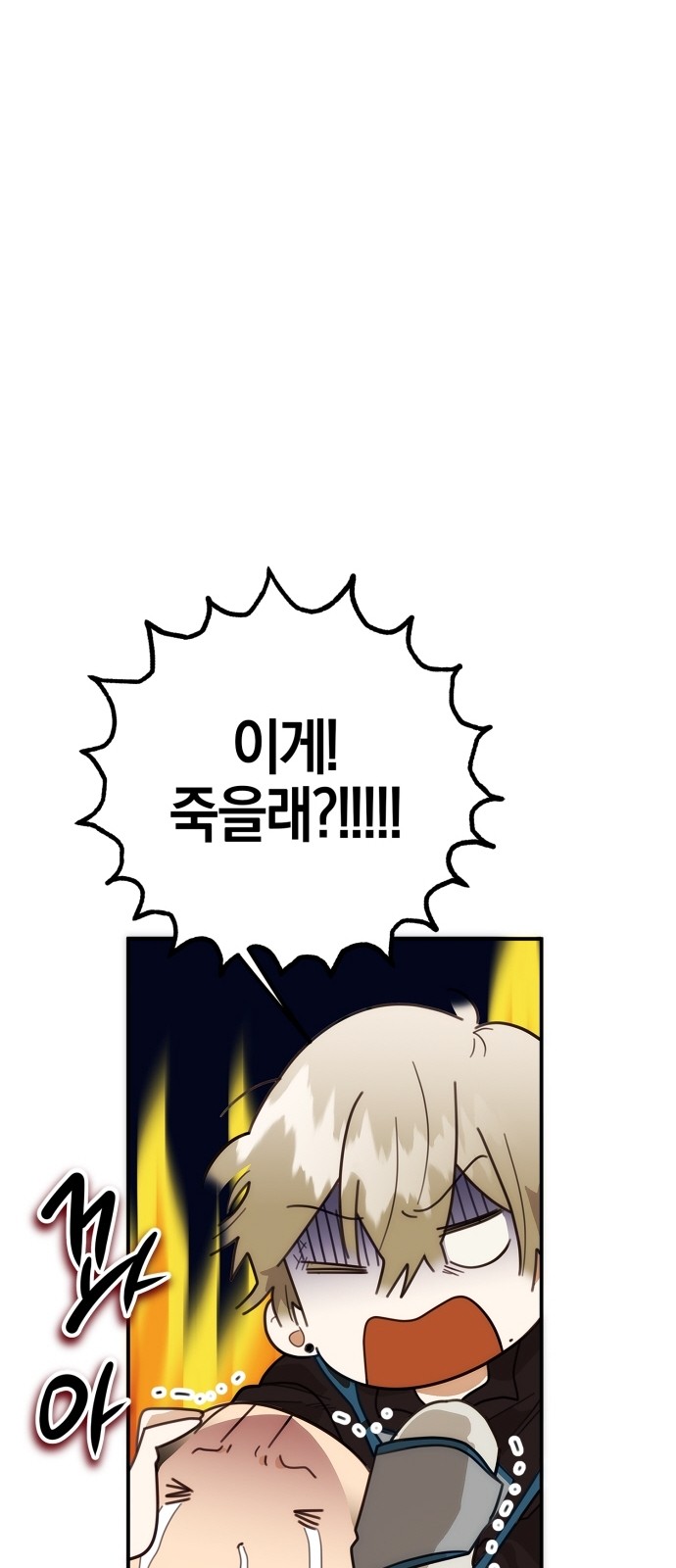 66 페이지