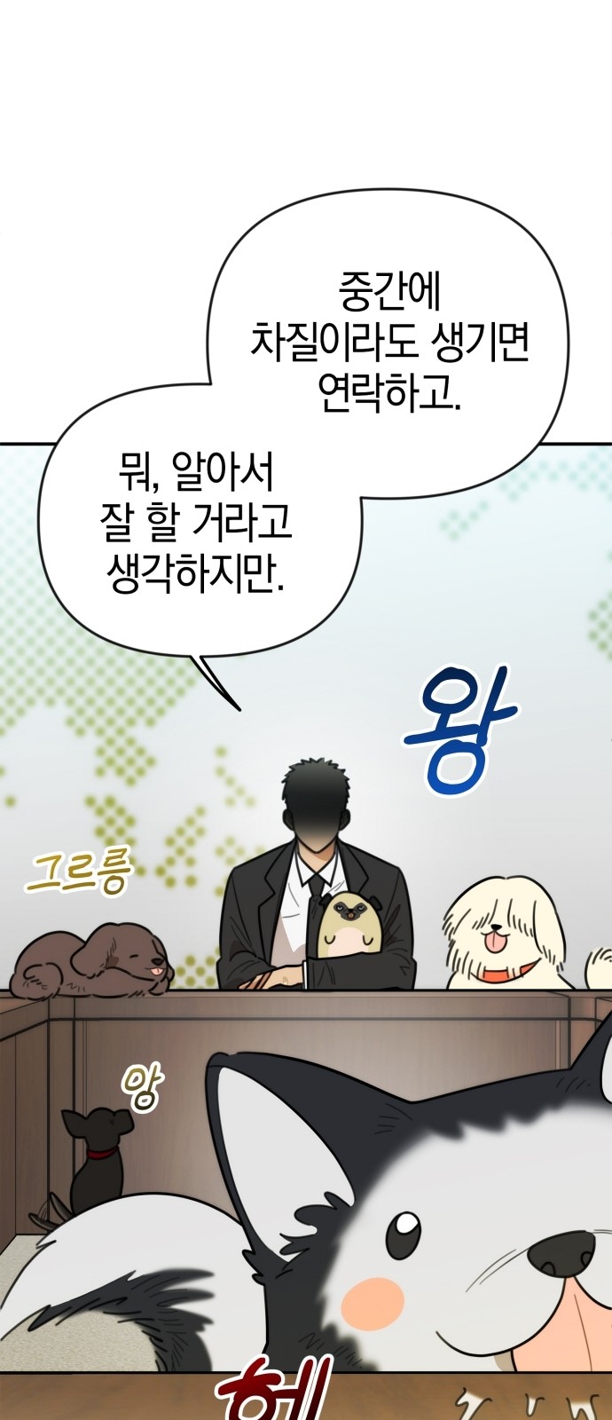 29 페이지