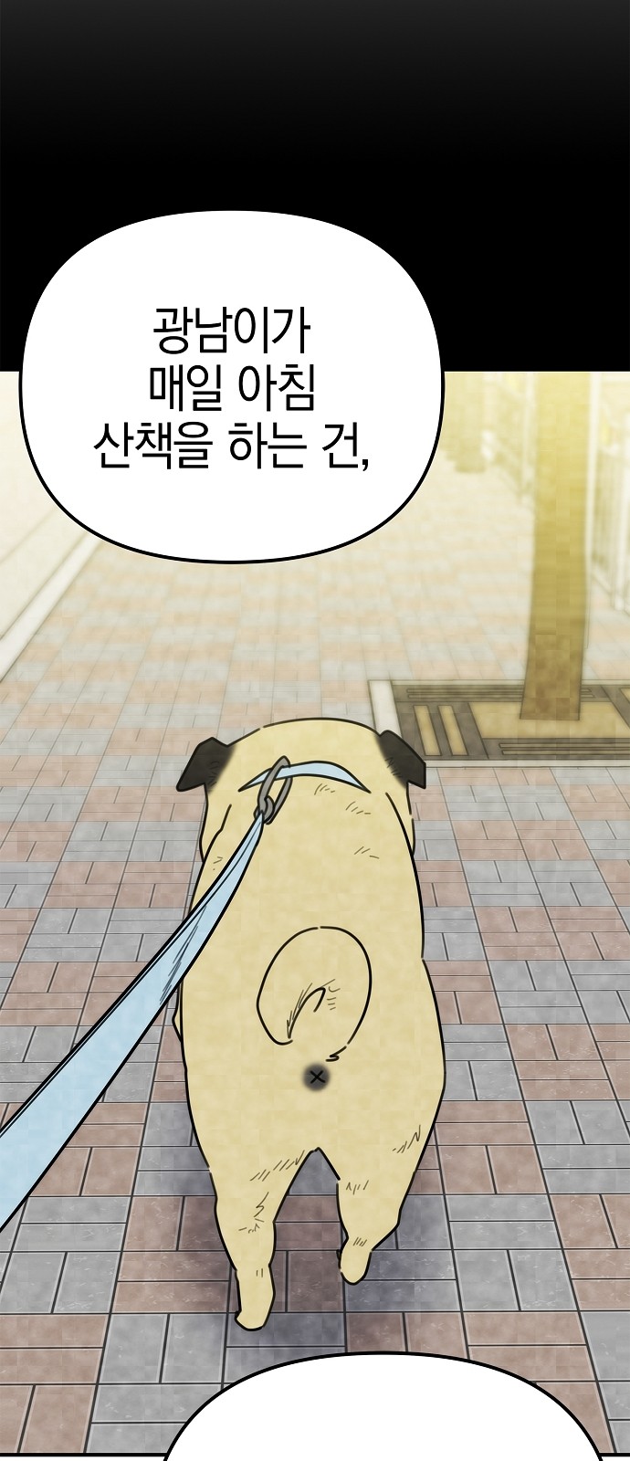 31 페이지