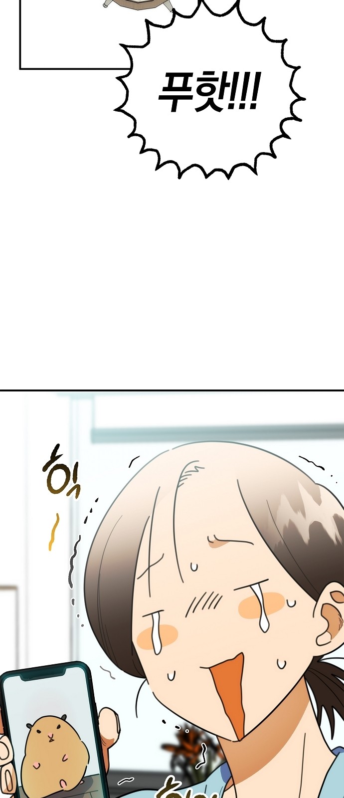 43 페이지