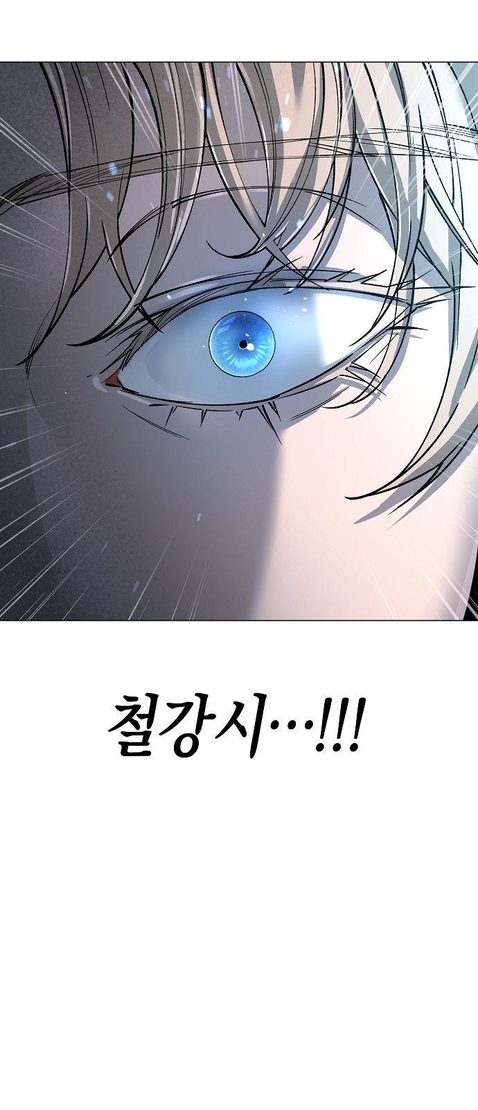 113 페이지