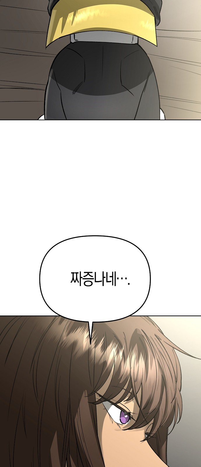 85 페이지