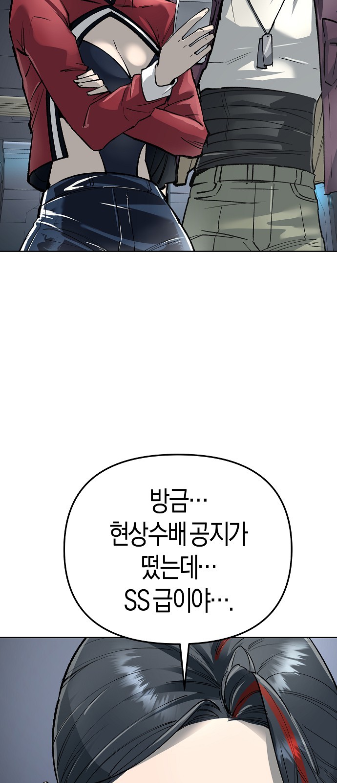 86 페이지