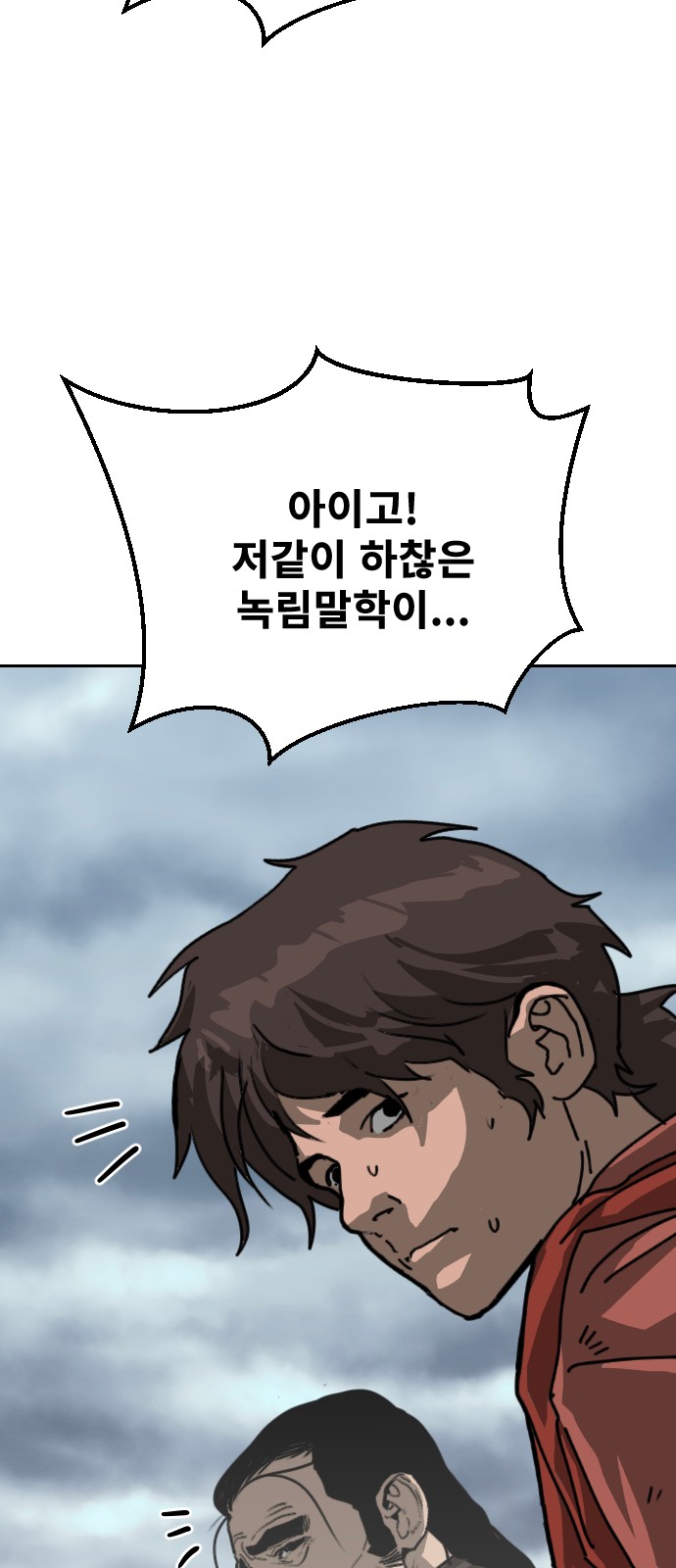 80 페이지