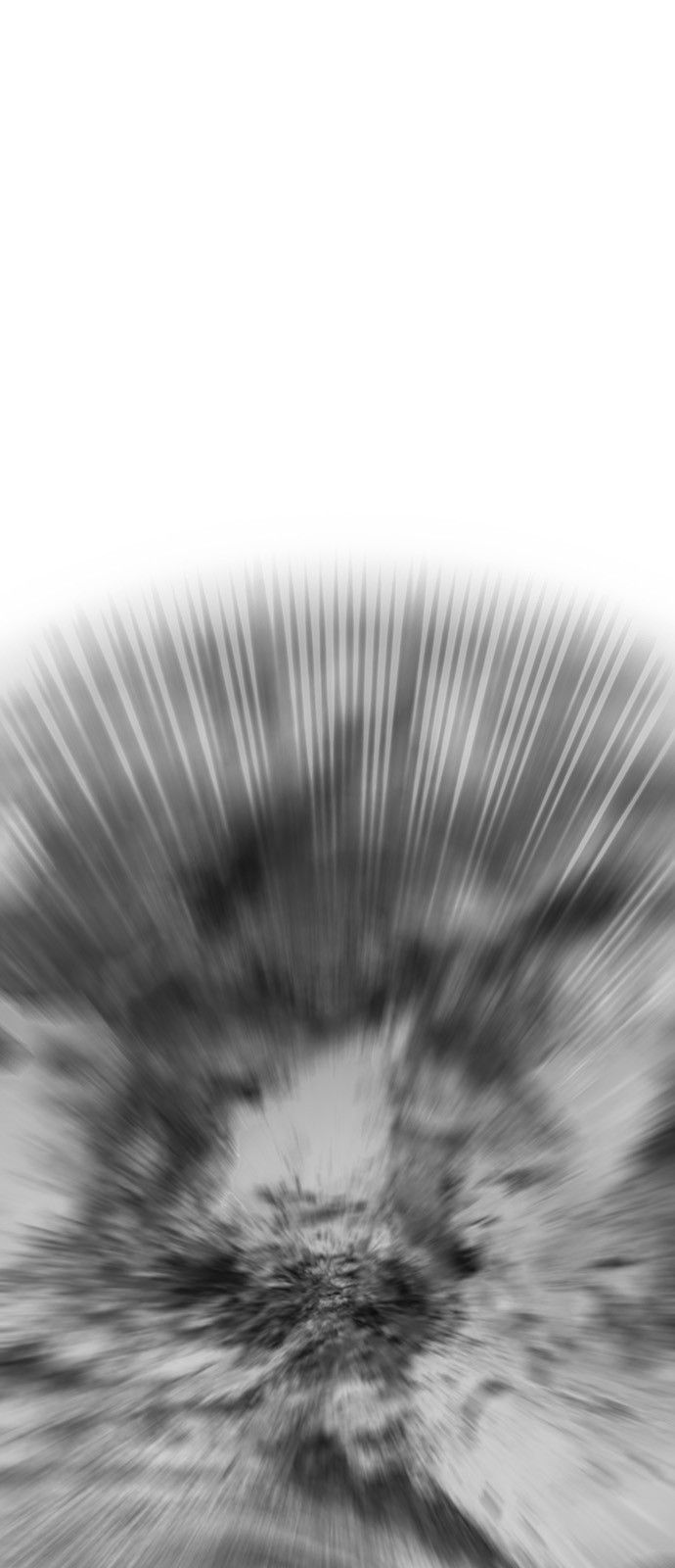 110 페이지